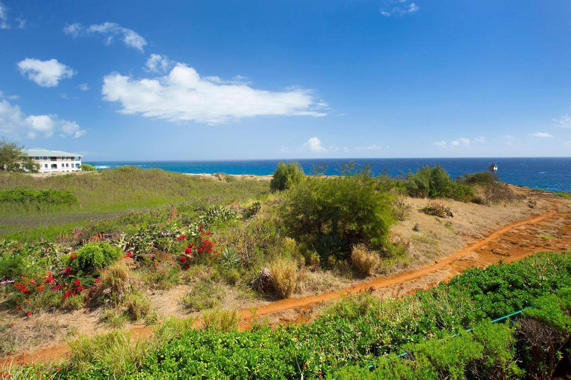 شقة Castle At Makahuena At Poipu كولو المظهر الخارجي الصورة
